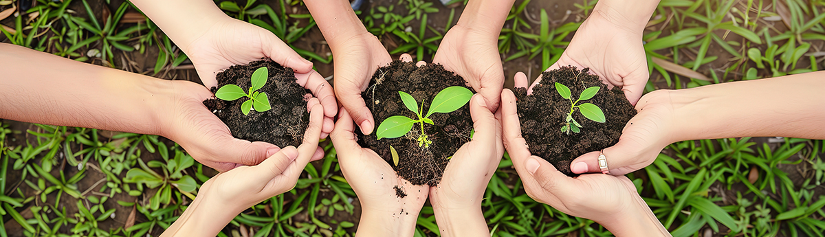 Diverse Children's Hands Holding Seedlings in Dirt on Green Gras